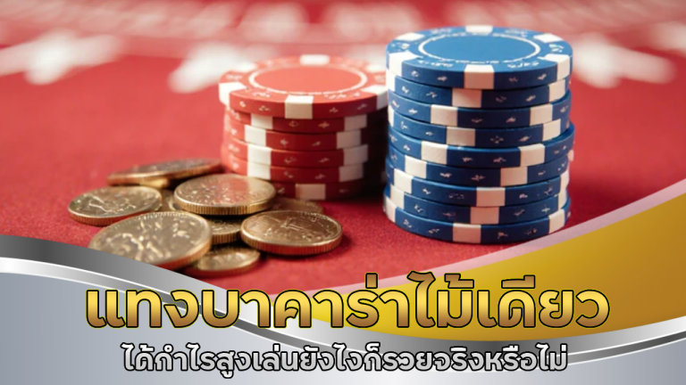แทงบาคาร่าไม้เดียว 123gtr