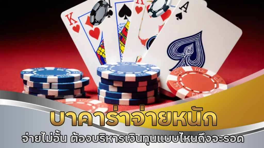 birdy99 บาคาร่าจ่ายหนัก
